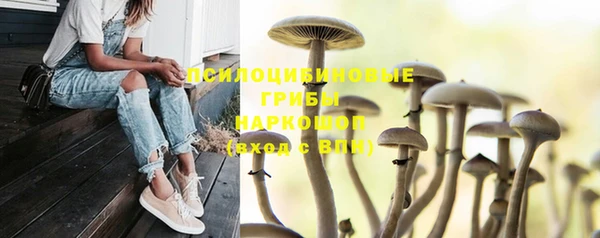MESCALINE Инсар