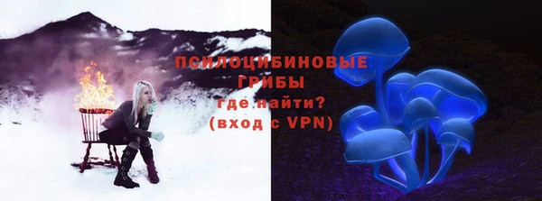 apvp Каменногорск