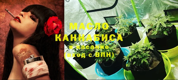 шишки Инта
