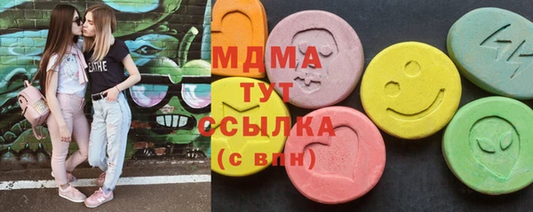 шишки Инта