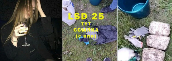 шишки Инта