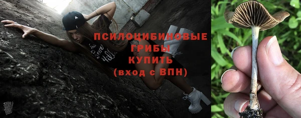 ГАЛЛЮЦИНОГЕННЫЕ ГРИБЫ Каменск-Шахтинский