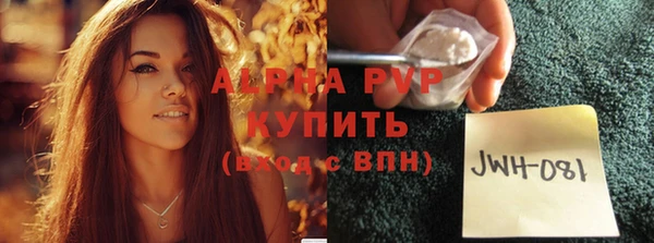 шишки Инта
